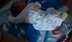 喝奶视频,探索喝奶视频的魅力与启示